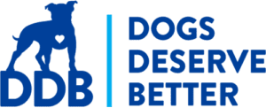 Affiliations - DDB